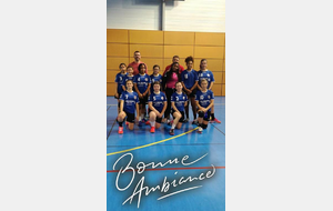 - 15 ans filles ENT match contre Amilly